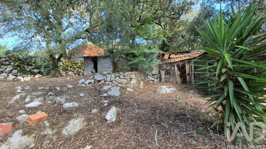 Moradia T3 para Venda em Porto de Mós - São João Baptista e São Pedro Foto 24