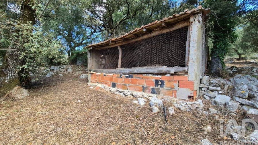 Moradia T3 para Venda em Porto de Mós - São João Baptista e São Pedro Foto 29