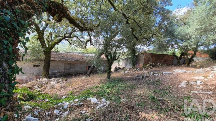 Moradia T3 para Venda em Porto de Mós - São João Baptista e São Pedro Foto 25