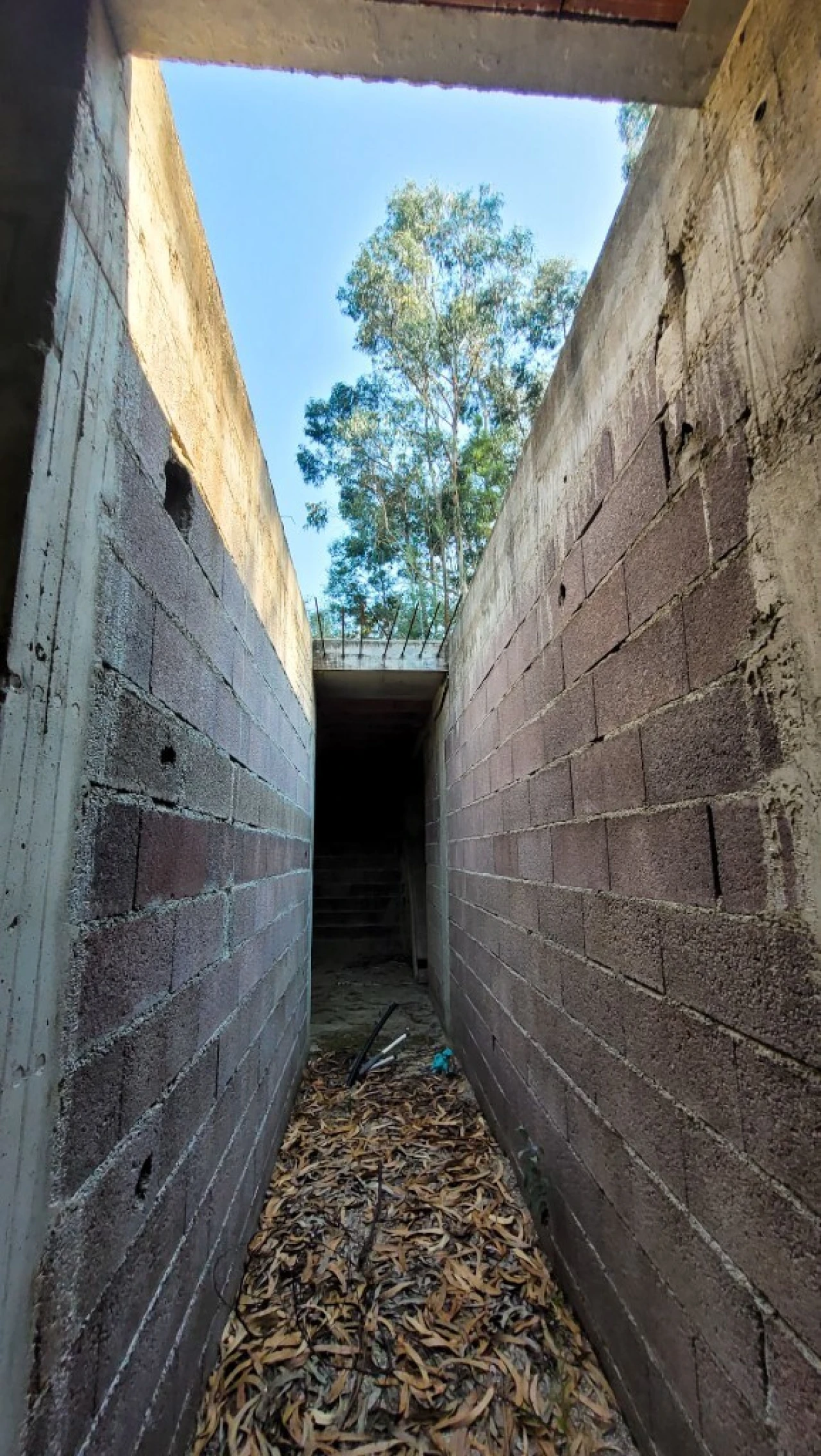 Terreno para Venda em Parada do Bouro Foto 8