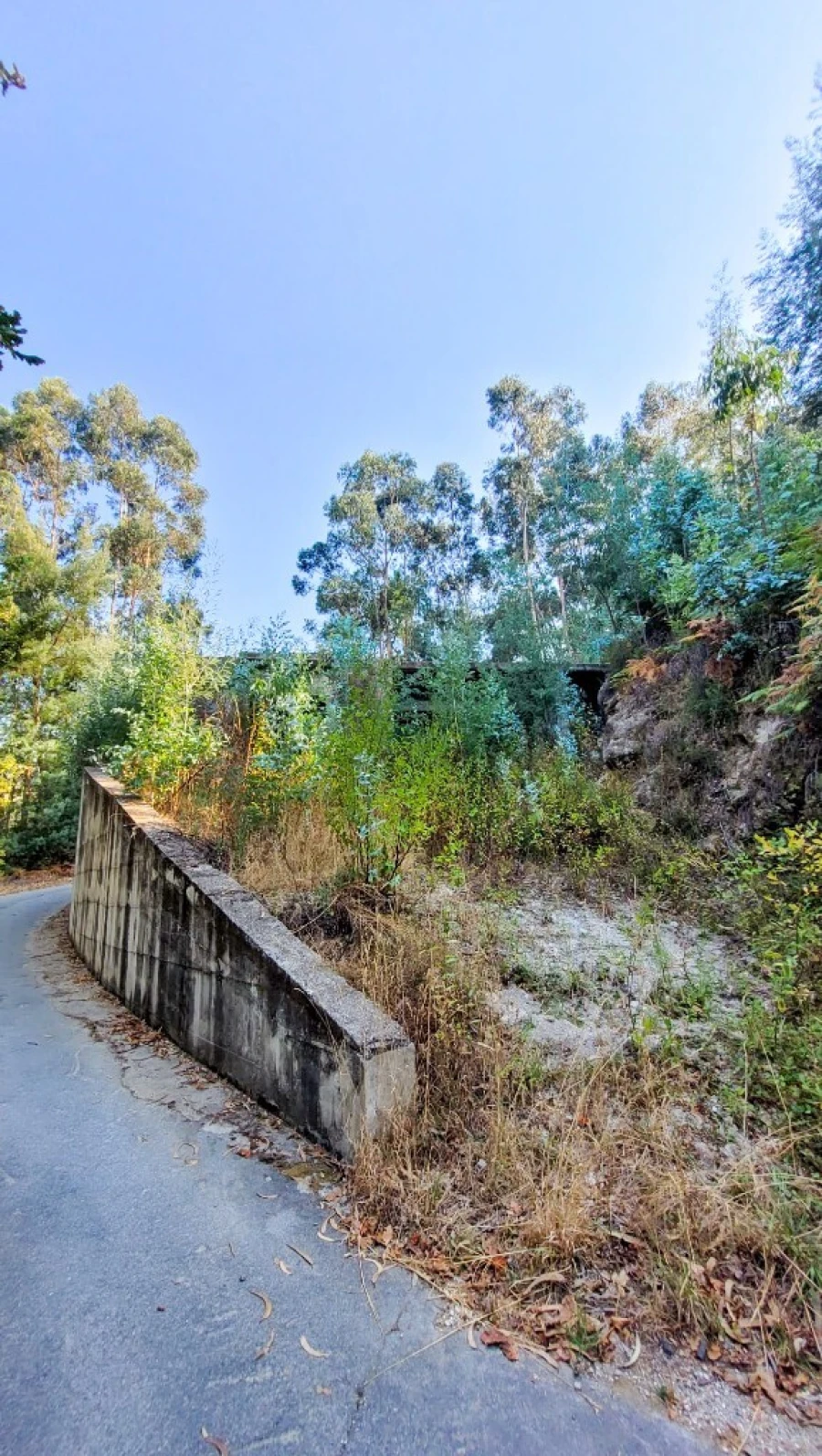 Terreno para Venda em Parada do Bouro Foto 14