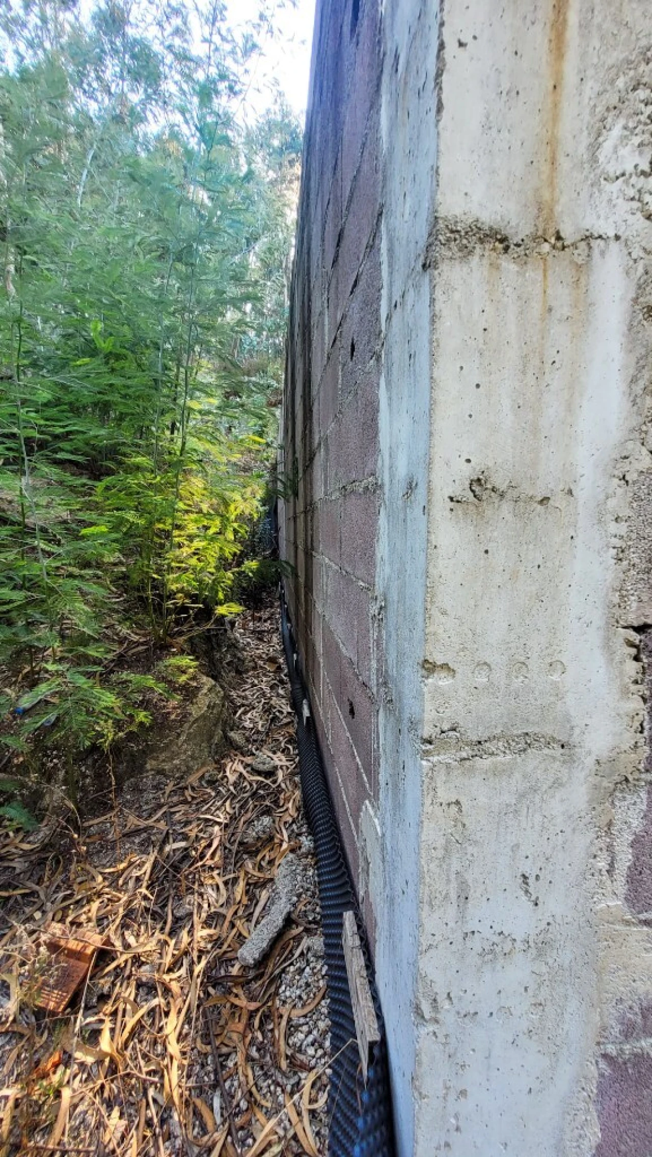 Terreno para Venda em Parada do Bouro Foto 13