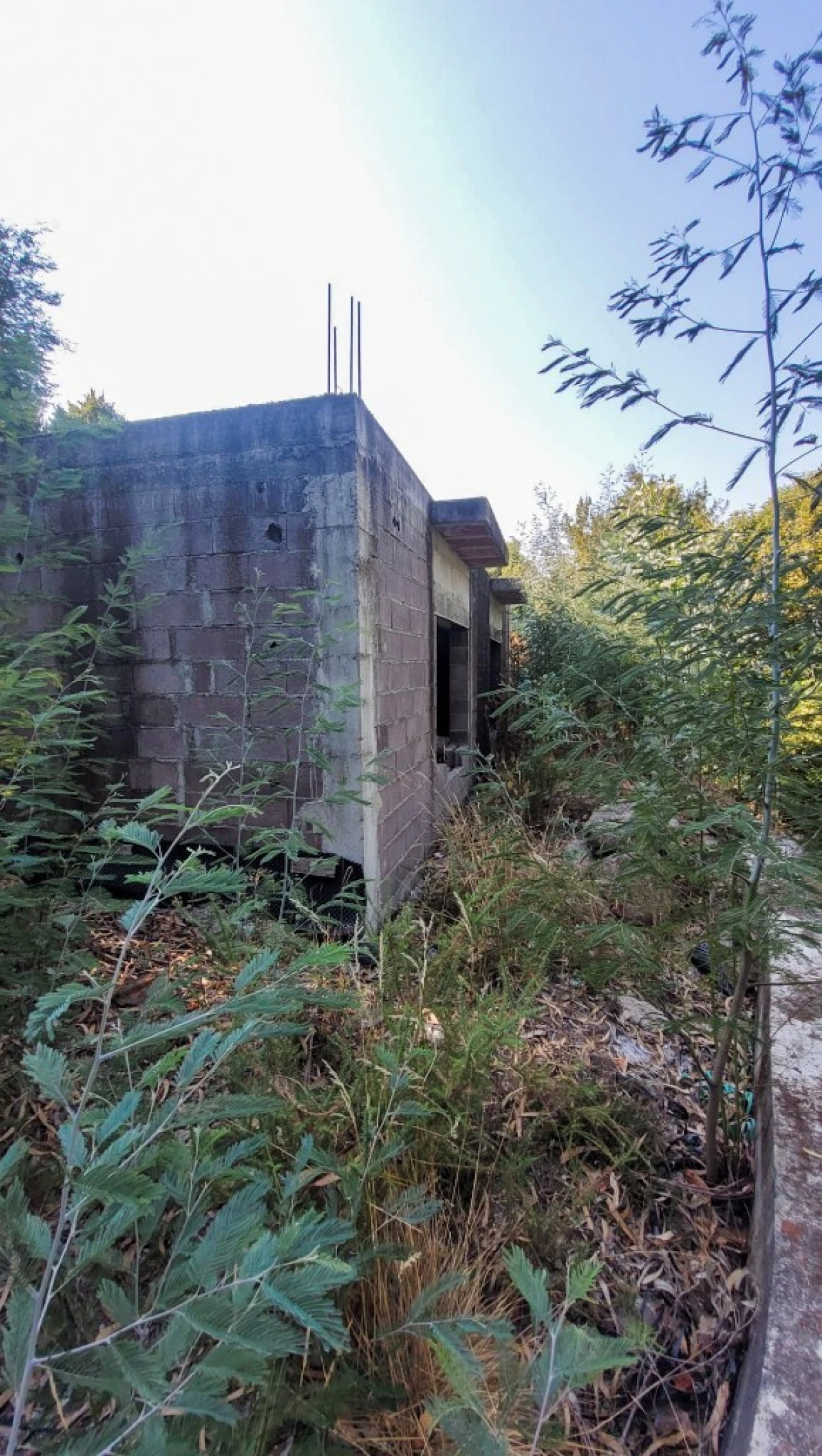 Terreno para Venda em Parada do Bouro Foto 11