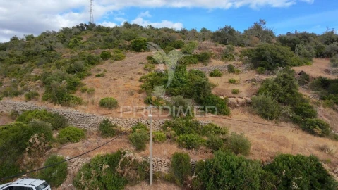 Terreno para Venda em Conceição e Estoi