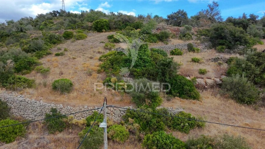 Terreno para Venda em Conceição e Estoi Foto 8