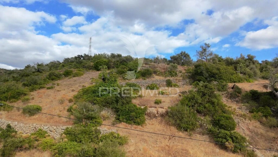 Terreno para Venda em Conceição e Estoi Foto 4