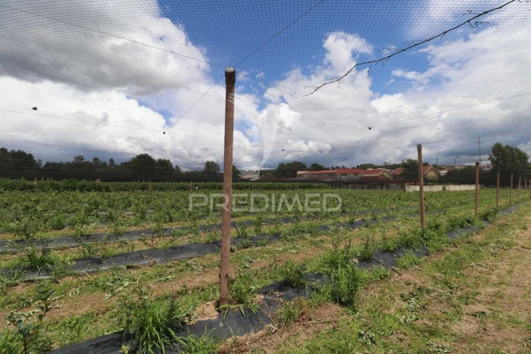 Quinta para Venda em Turiz Foto 12