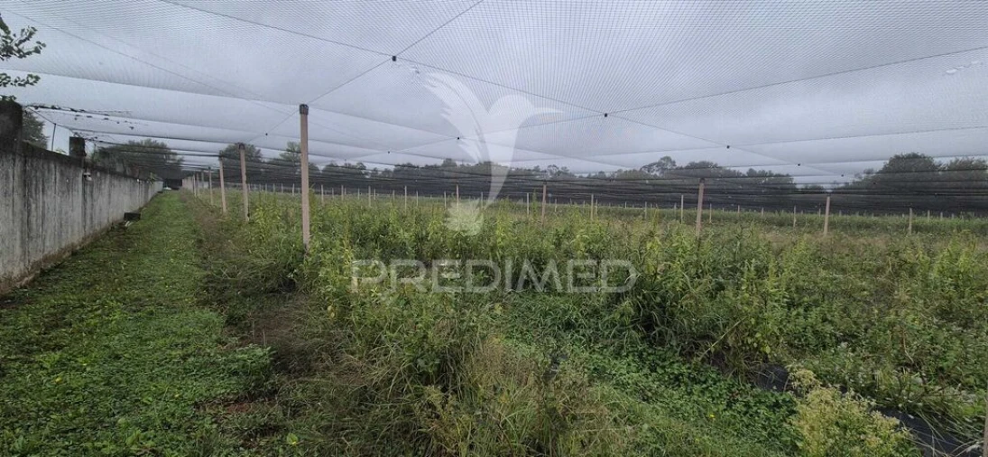 Quinta para Venda em Turiz Foto 9