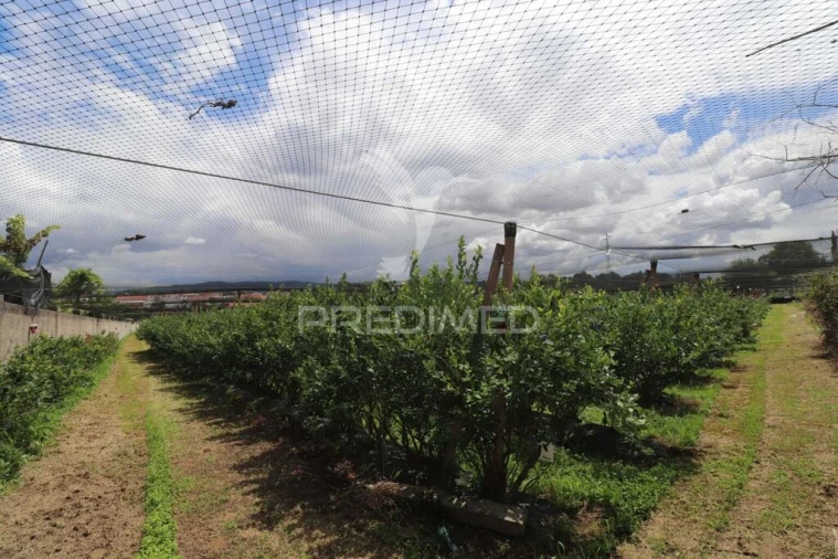 Quinta para Venda em Turiz Foto 20