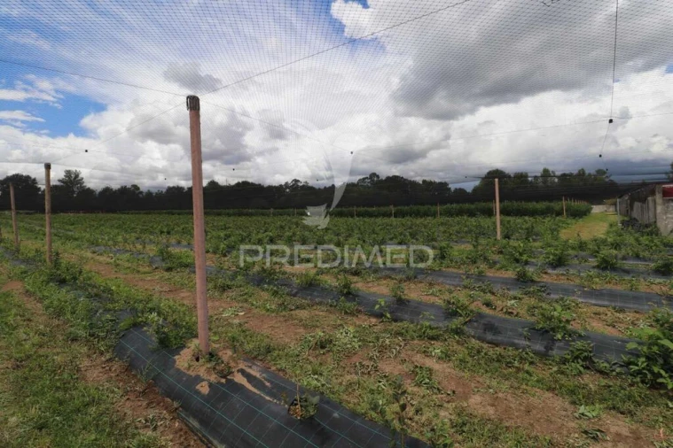 Quinta para Venda em Turiz Foto 13