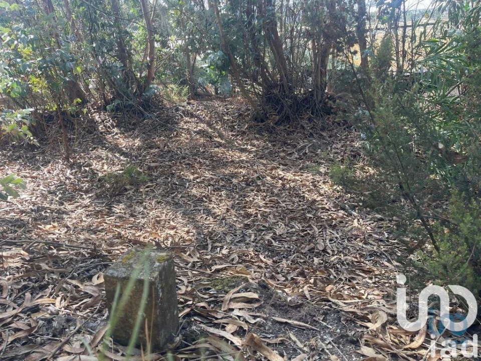 Terreno para Venda em Ramalhal Foto 2