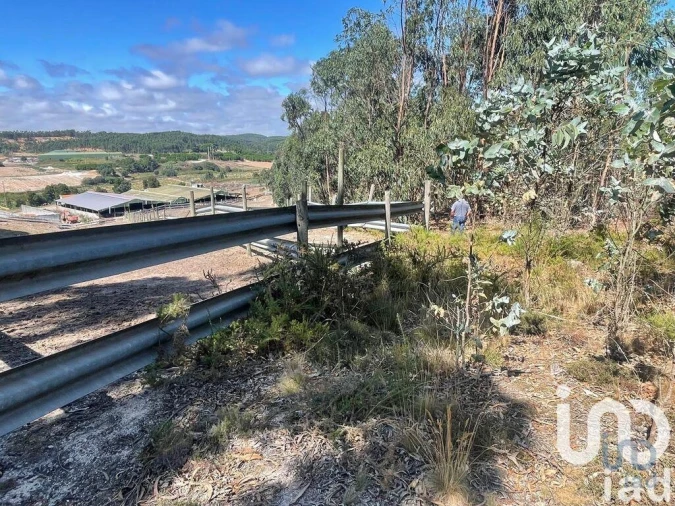 Terreno para Venda em Ramalhal Foto 4