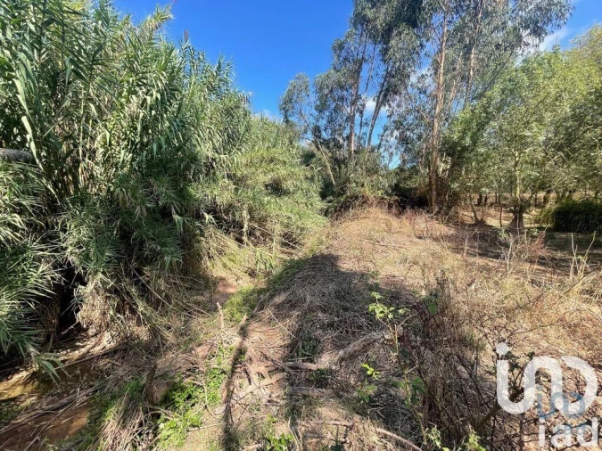 Terreno para Venda em Ramalhal Foto 14