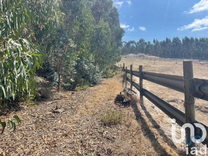 Terreno para Venda em Ramalhal Foto 6