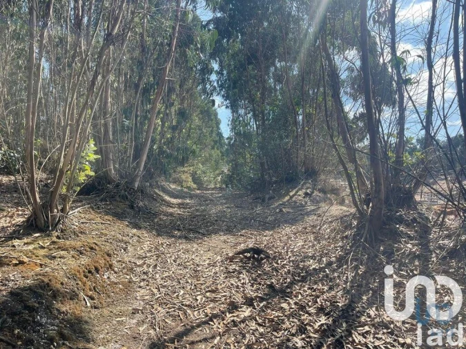 Terreno para Venda em Ramalhal Foto 3