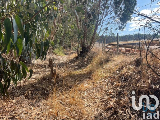 Terreno para Venda em Ramalhal