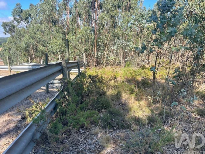 Terreno para Venda em Ramalhal Foto 15