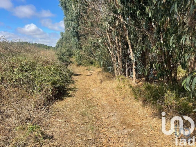 Terreno para Venda em Ramalhal Foto 9