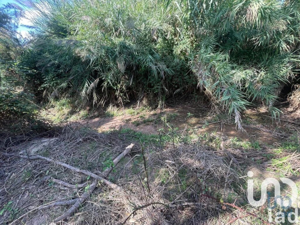 Terreno para Venda em Ramalhal Foto 12