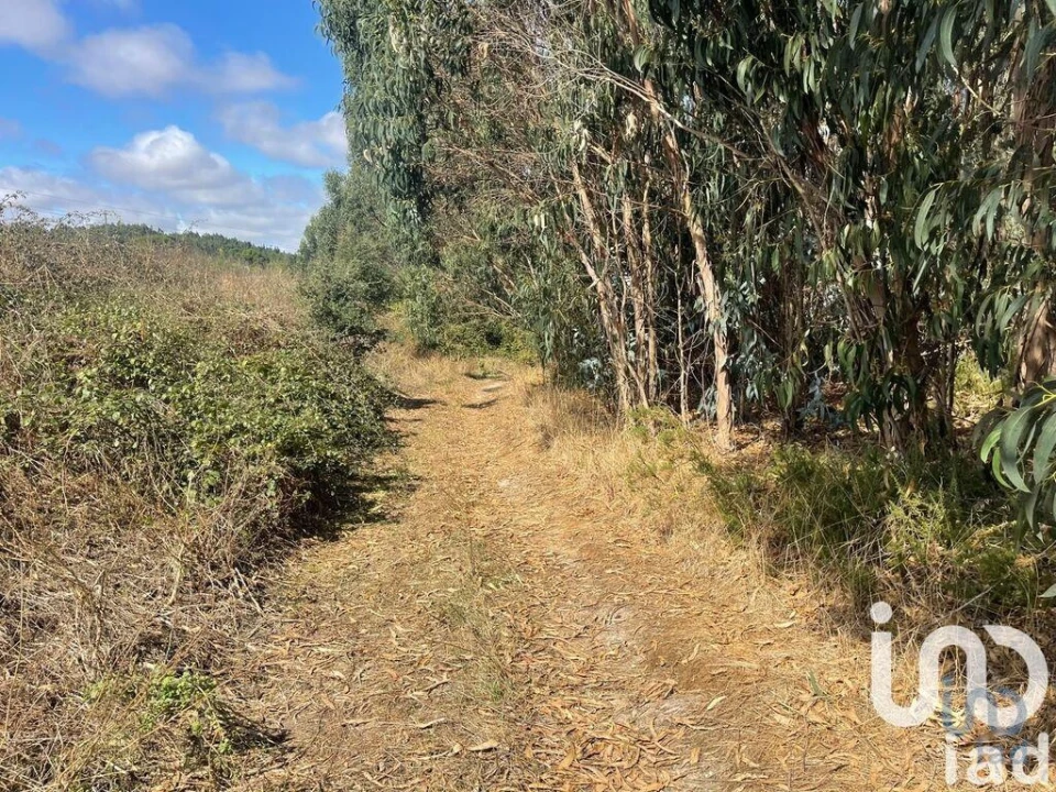 Terreno para Venda em Ramalhal Foto 9
