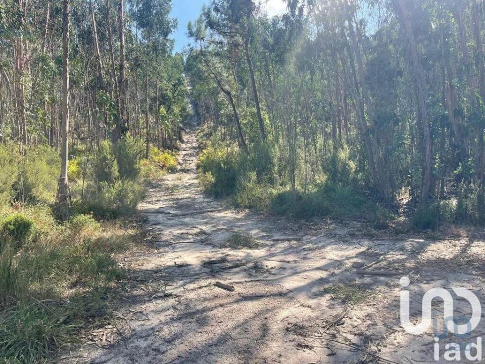 Terreno para Venda em Ramalhal Foto 11