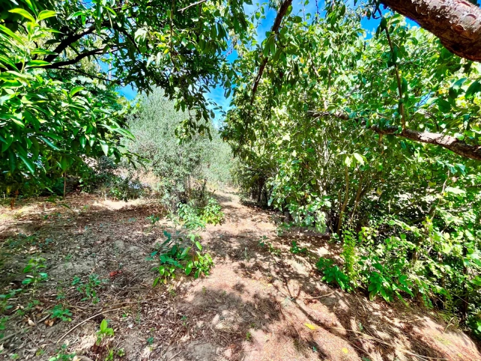 Moradia T3 para Venda em Portela do Fojo-Machio Foto 29