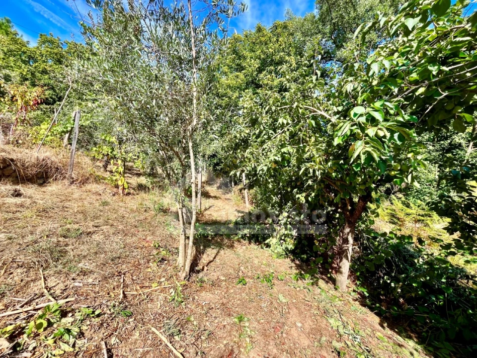 Moradia T3 para Venda em Portela do Fojo-Machio Foto 30