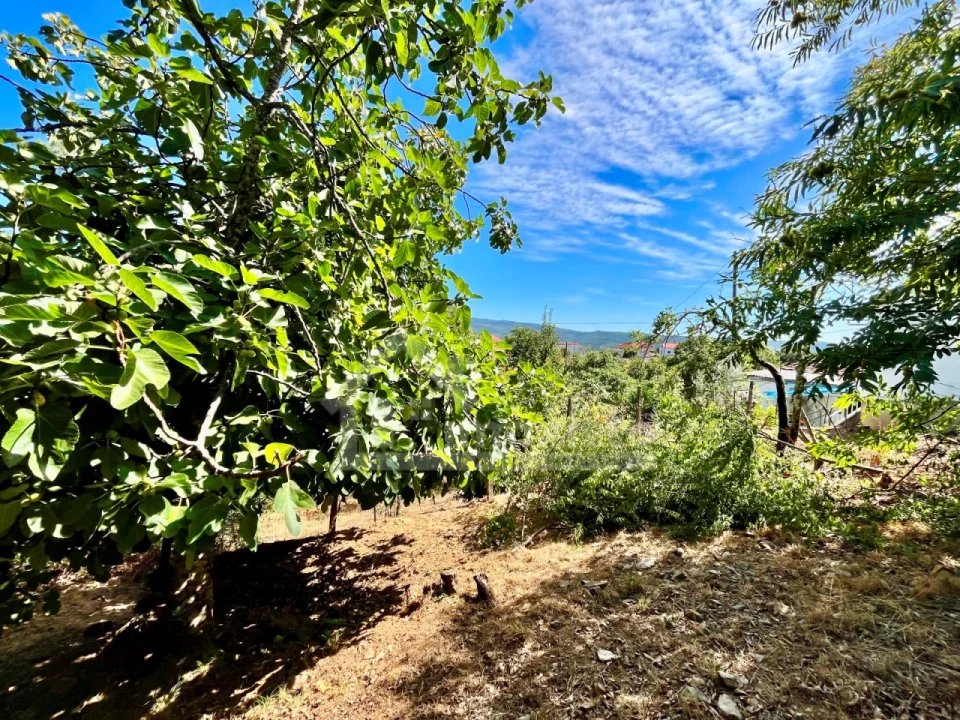 Moradia T3 para Venda em Portela do Fojo-Machio Foto 32