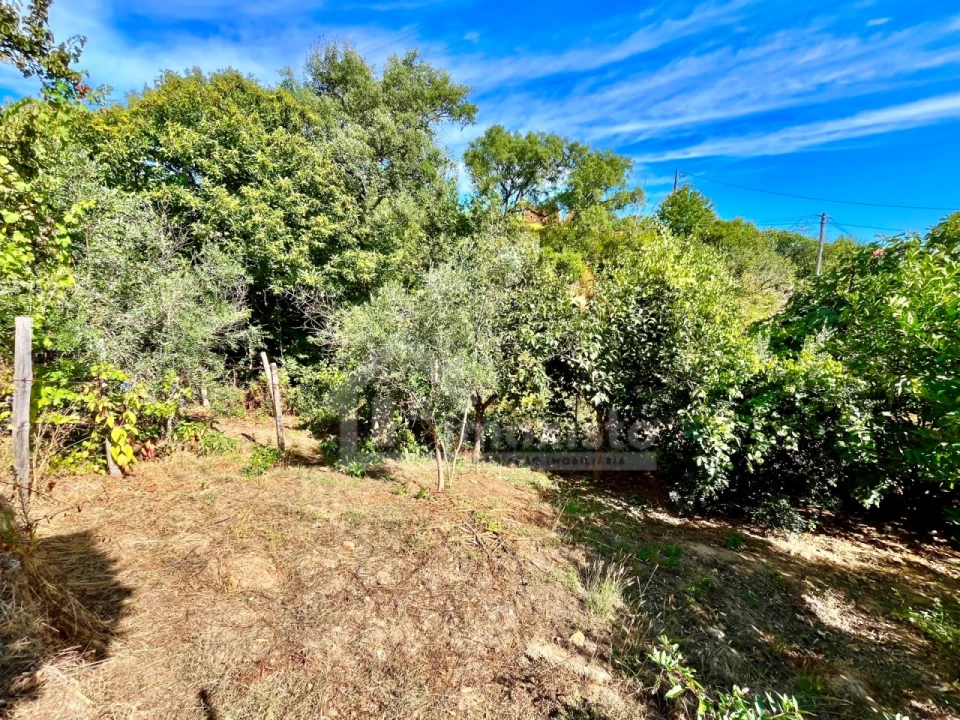 Moradia T3 para Venda em Portela do Fojo-Machio Foto 37