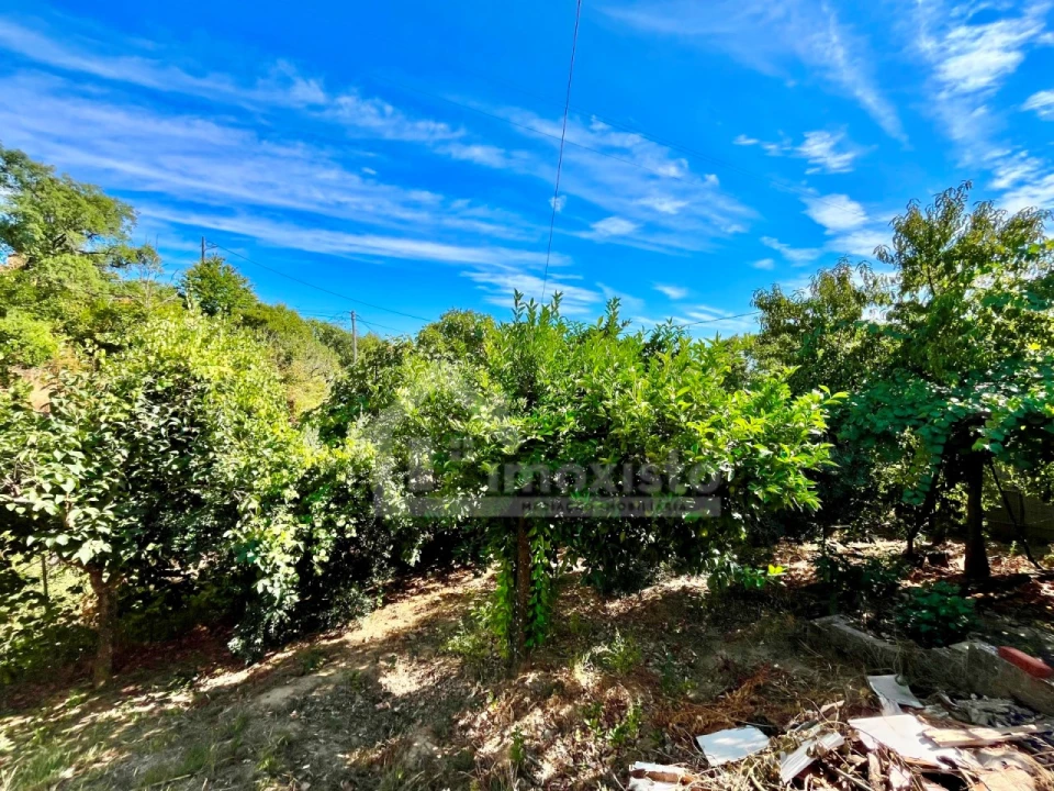 Moradia T3 para Venda em Portela do Fojo-Machio Foto 38