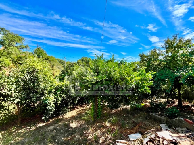 Moradia T3 para Venda em Portela do Fojo-Machio Foto 38