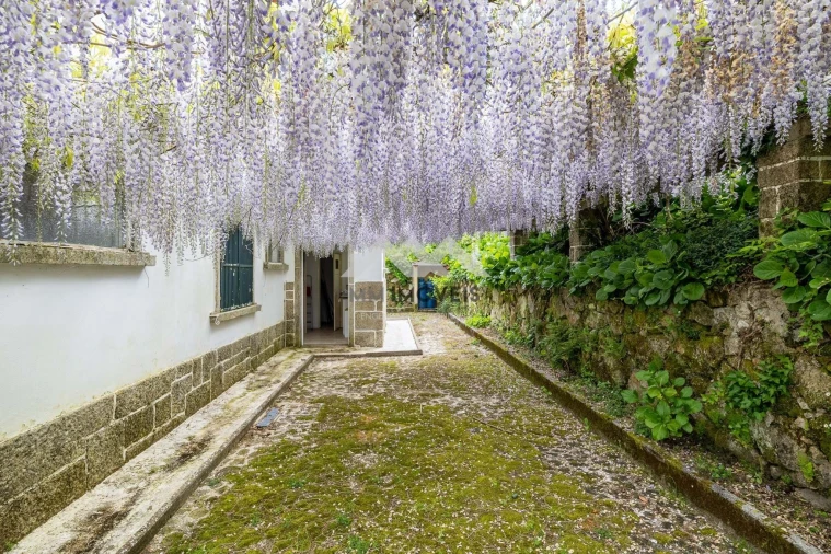 Moradia T6 para Venda em Guardão Foto 58