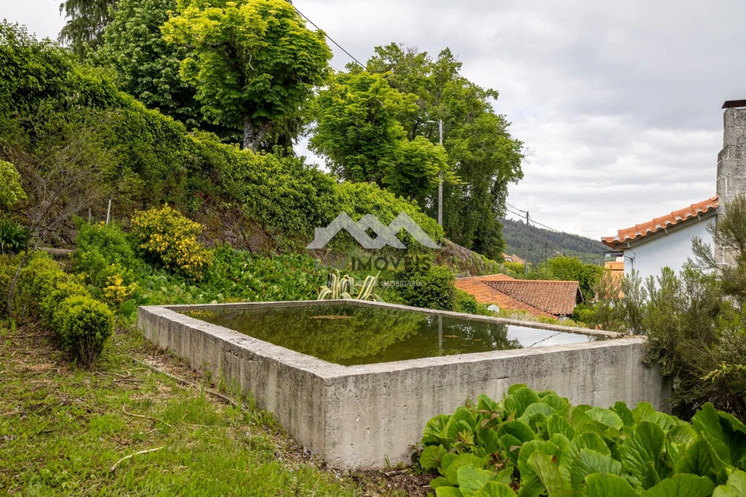 Moradia T6 para Venda em Guardão Foto 60