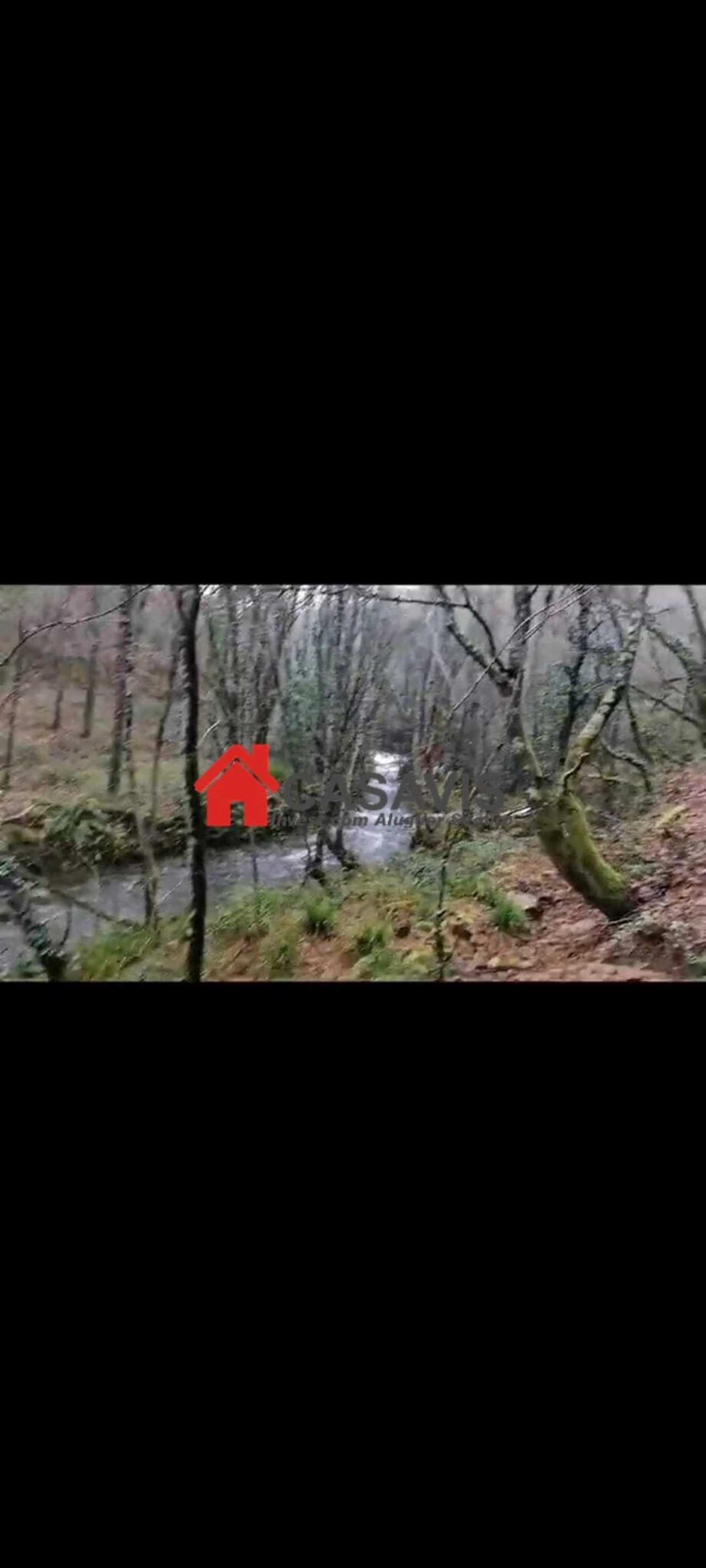 Quinta para Venda em São Pedro do Sul, Várzea e Baiões Foto 1