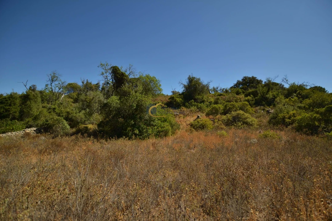 Terreno Agricola ou Rústico para Venda em Paderne Foto 17