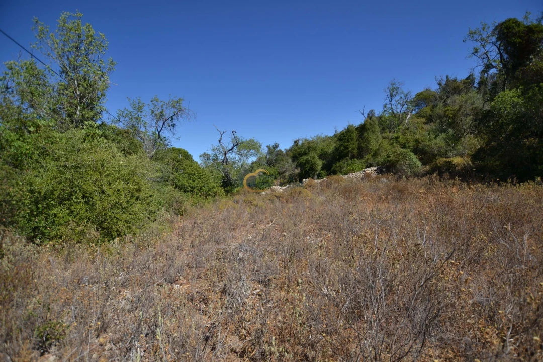 Terreno Agricola ou Rústico para Venda em Paderne Foto 19