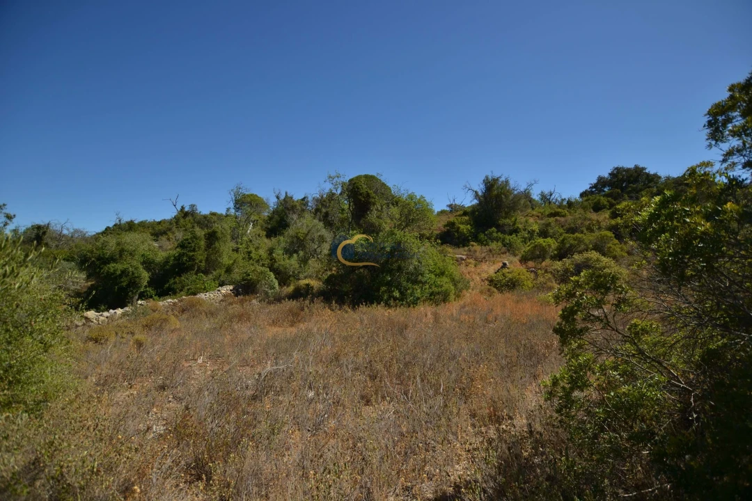 Terreno Agricola ou Rústico para Venda em Paderne Foto 15