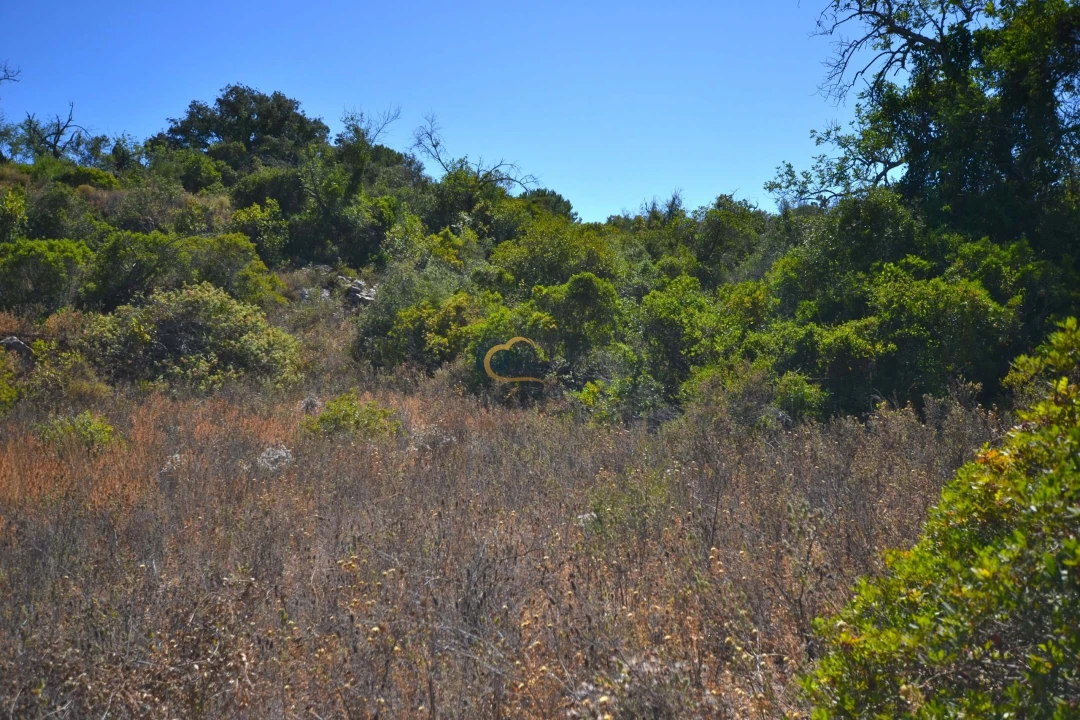 Terreno Agricola ou Rústico para Venda em Paderne Foto 18