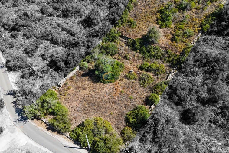 Terreno Agricola ou Rústico para Venda em Paderne Foto 5
