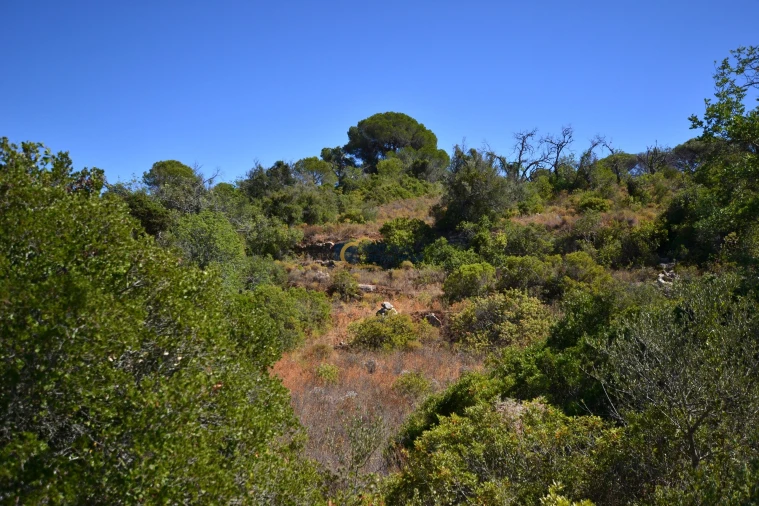 Terreno Agricola ou Rústico para Venda em Paderne Foto 13