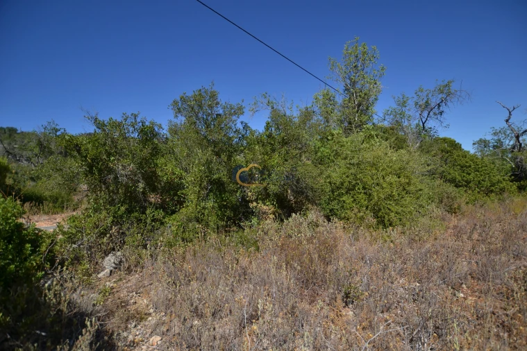Terreno Agricola ou Rústico para Venda em Paderne Foto 20