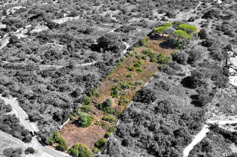 Terreno Agricola ou Rústico para Venda em Paderne Foto 9