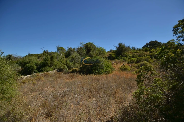 Terreno Agricola ou Rústico para Venda em Paderne Foto 15