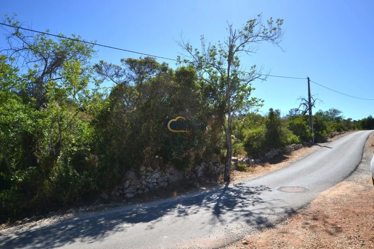 Terreno Agricola ou Rústico para Venda em Paderne Foto 3