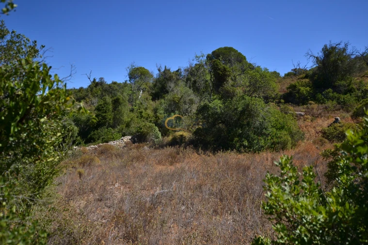 Terreno Agricola ou Rústico para Venda em Paderne Foto 14