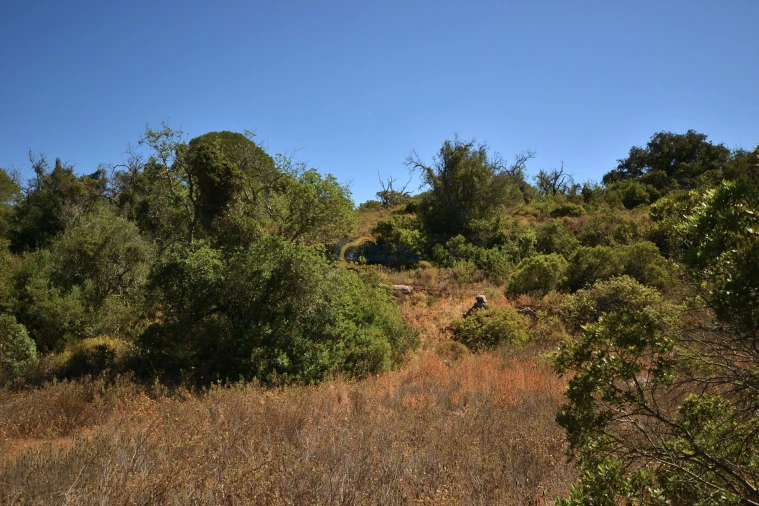 Terreno Agricola ou Rústico para Venda em Paderne Foto 16