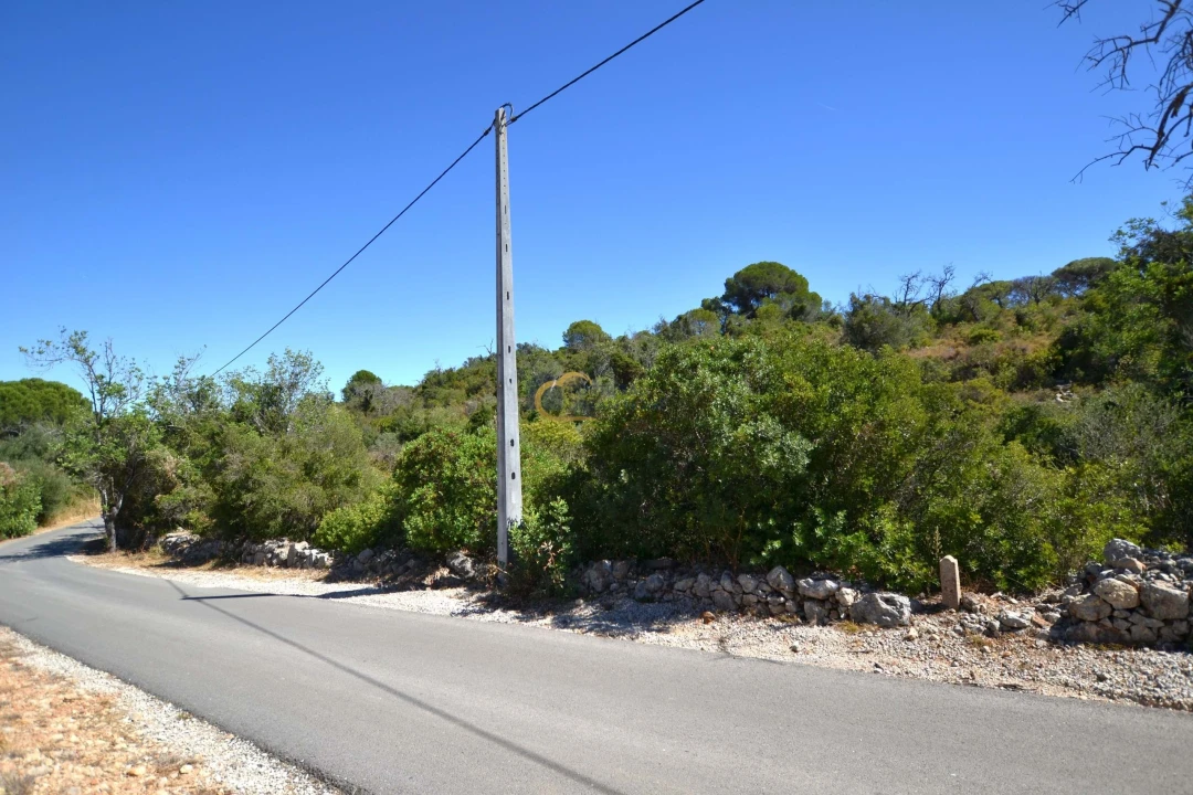 Terreno Agricola ou Rústico para Venda em Paderne Foto 1