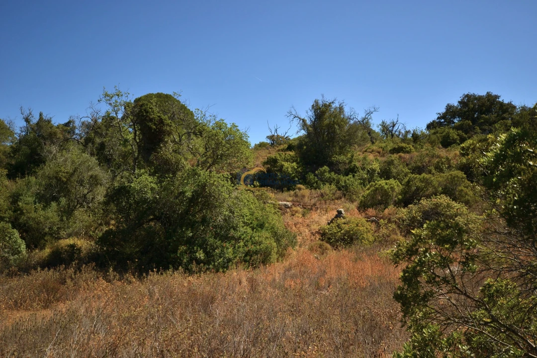 Terreno Agricola ou Rústico para Venda em Paderne Foto 16
