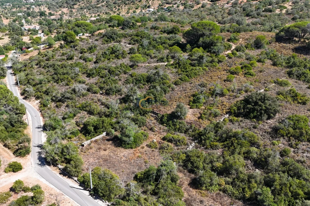 Terreno Agricola ou Rústico para Venda em Paderne Foto 6