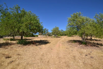 Moradia T3 para Venda em Silves